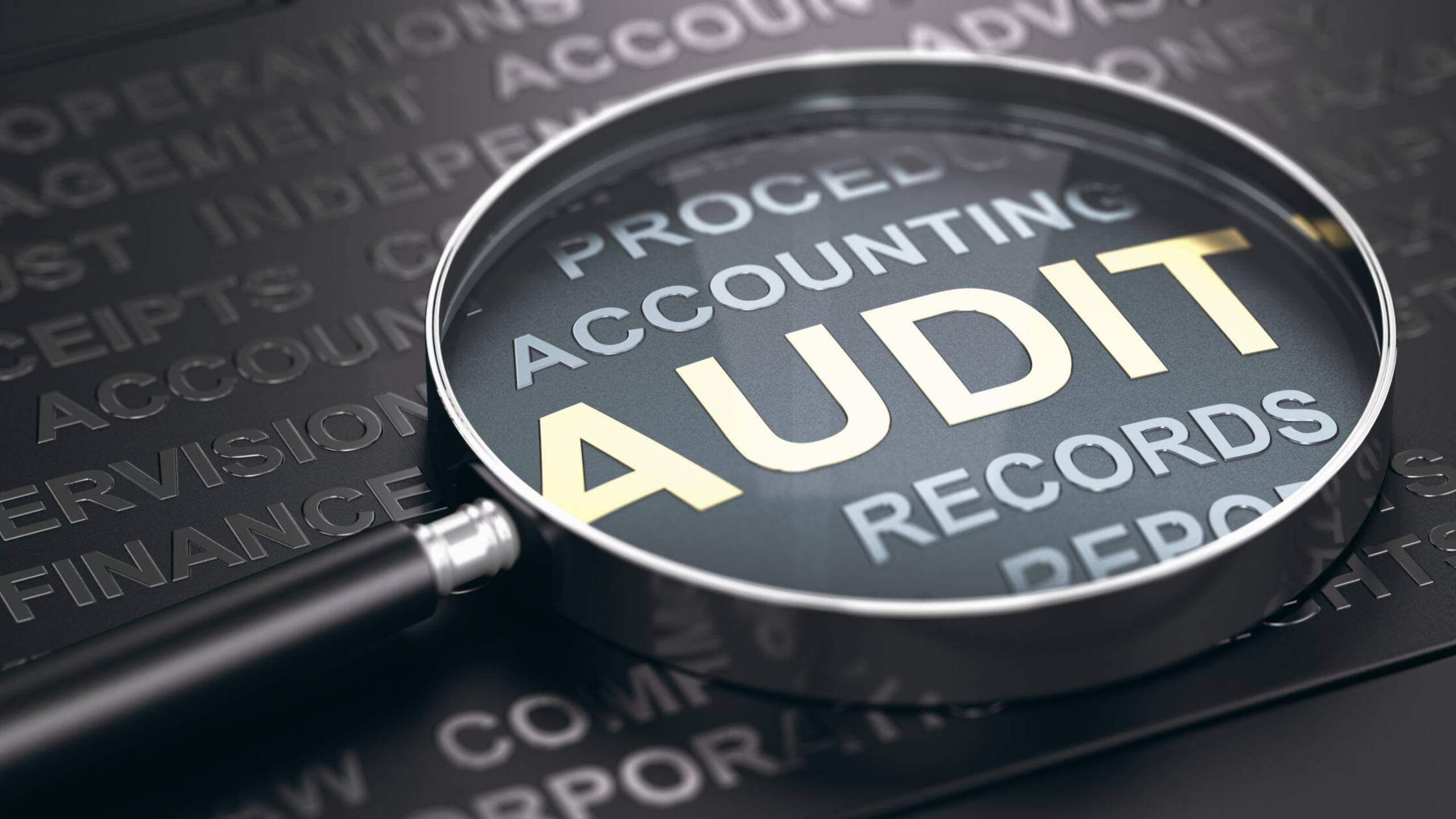 Managing Risk and Audit Assurance: Insights for Chartered Accountants